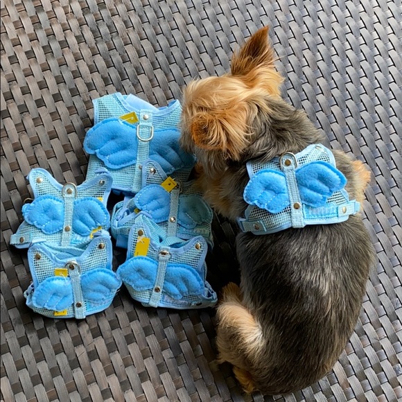 Doggy Angel harness 🐶 model is 7 lbs , wearing S - Picture 1 of 6